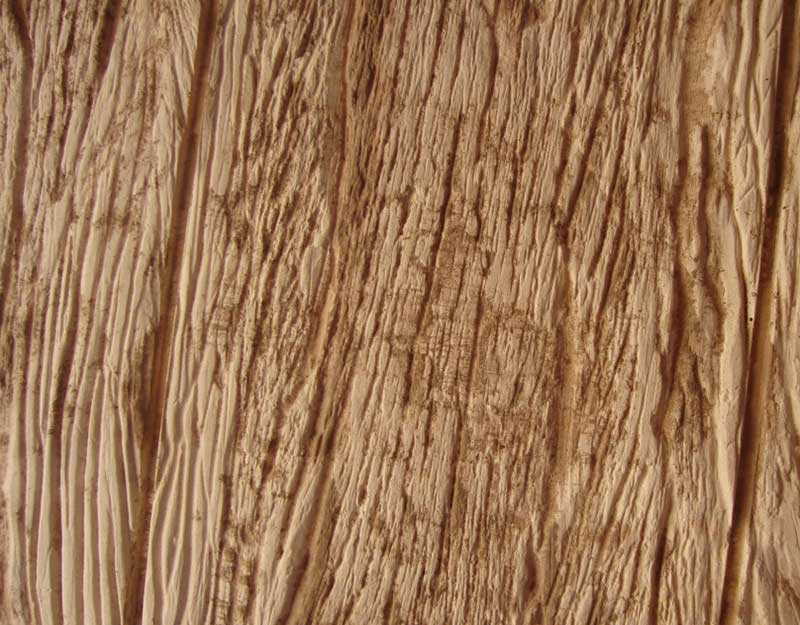 phb-deco-jardin-simil-madera-5