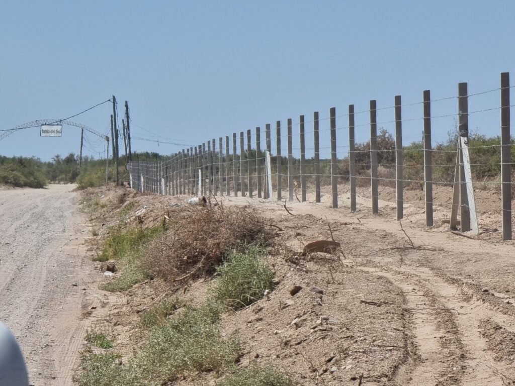 tejidos columna olímpica phb